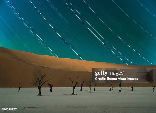 stars stripes and dead trees in desert - dead vlei namibia stock pictures, royalty-free photos & images