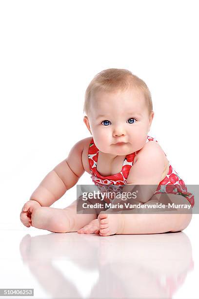 baby rolls - chubby girls photos bildbanksfoton och bilder