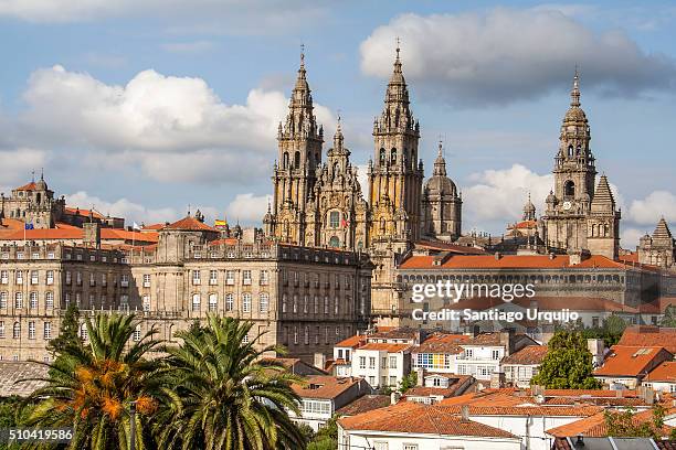 santiago de compostela cathedral and rooftops - santiago de compostela fotografías e imágenes de stock