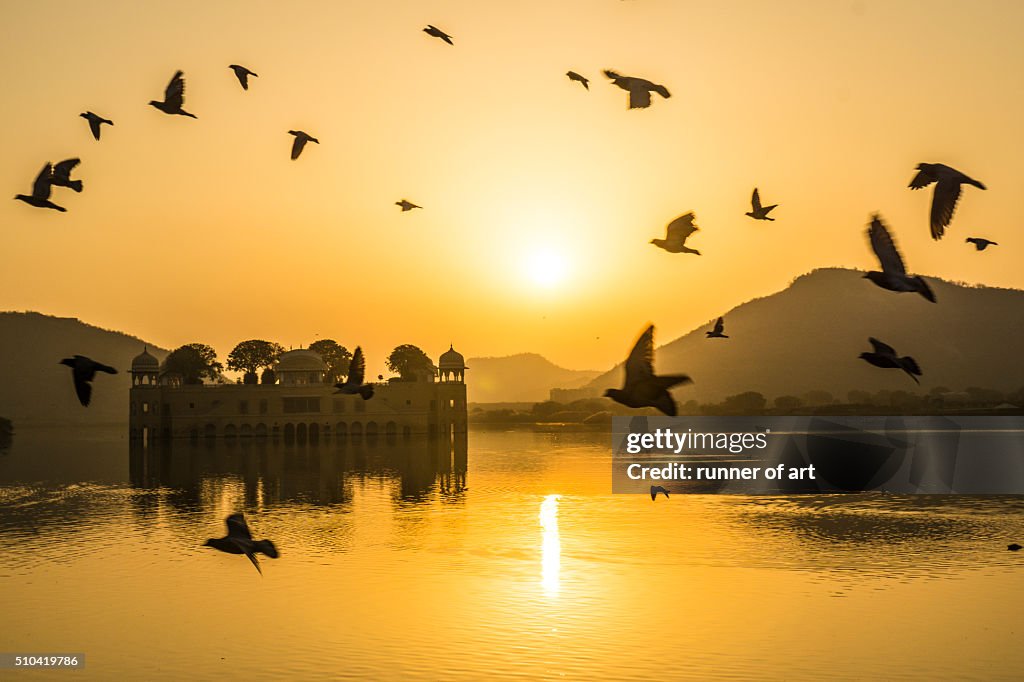 Morning fly at Jal Mahal