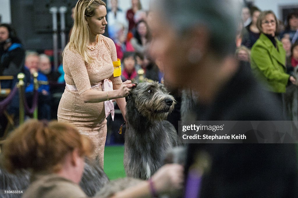 Annual Westminster Kennel Club Dog Show