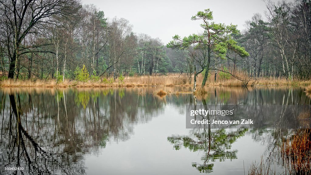 Reflection on a small lake