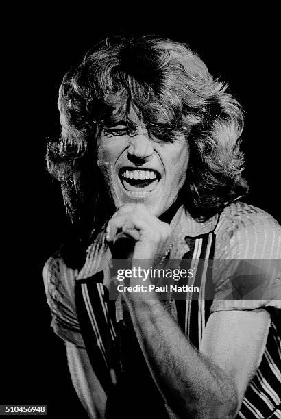 Andy Gibb performs in concert at Chicagofest on August 11, 1978 in Chicago, Illinois.