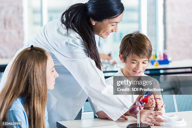 Student Brain Model Photos and Premium High Res Pictures - Getty Images