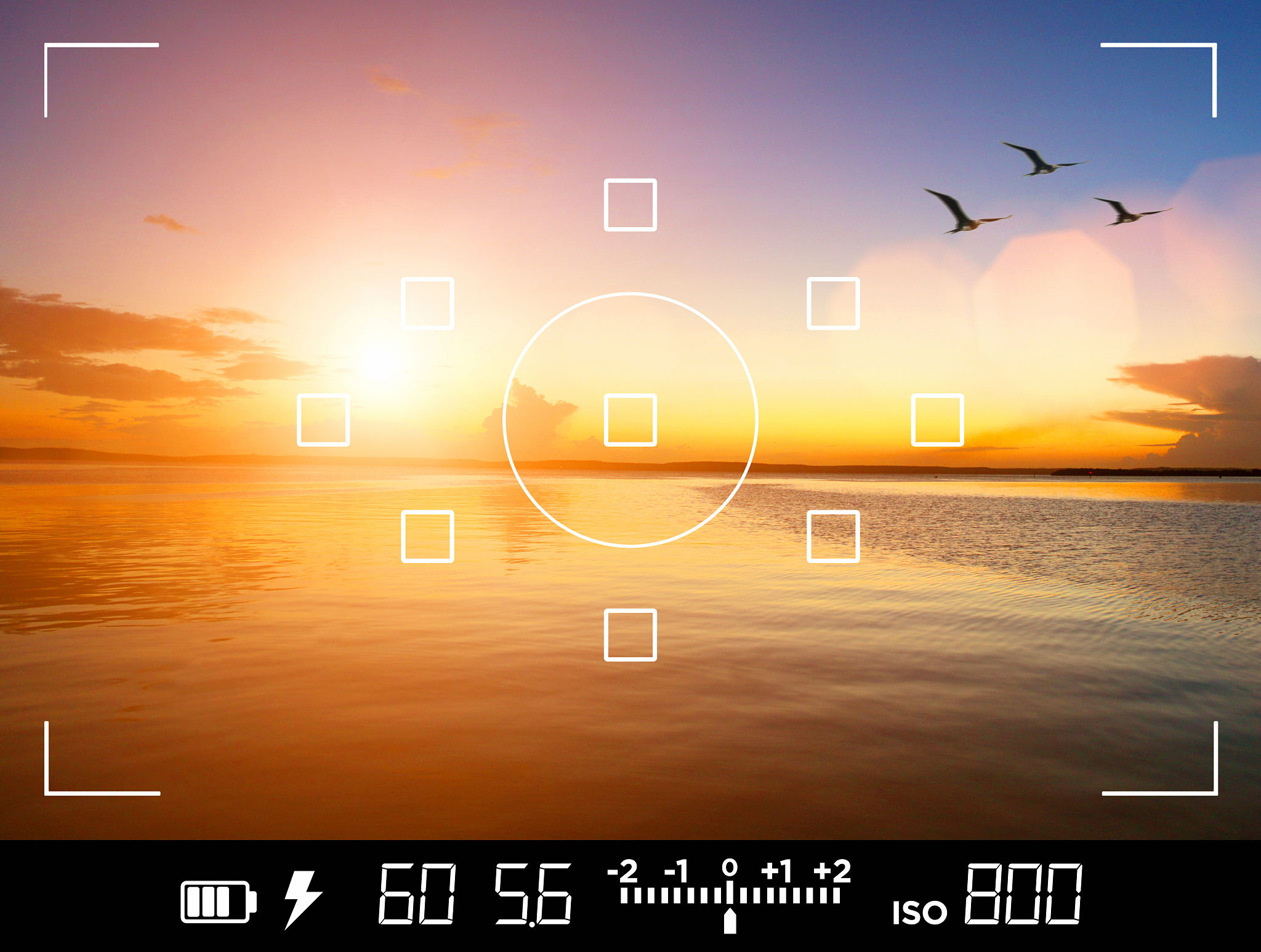shutter speed