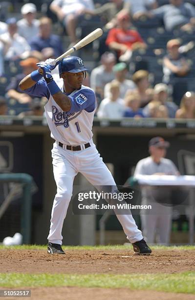Infielder Andres Blanco of the Kansas City Royals waits for a Detroit Tigers pitch during the MLB game at Kauffman Stadium on June 24, 2004 in Kansas...