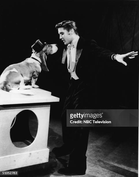 American rock singer Elvis Presley serenades a basset hound in a top hat with the song, 'Hound Dog' on the set of 'The Steve Allen Show,' July 1956.