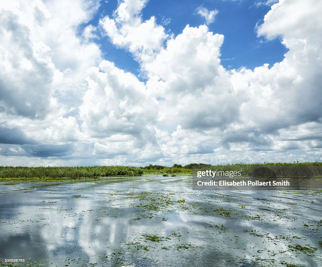 FL Everglades, Immokalee