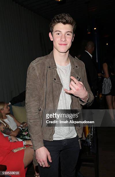 Recording artist Shawn Mendes attends the Republic Records Grammy Celebration presented by Chromecast Audio at Hyde Sunset Kitchen & Cocktail on...