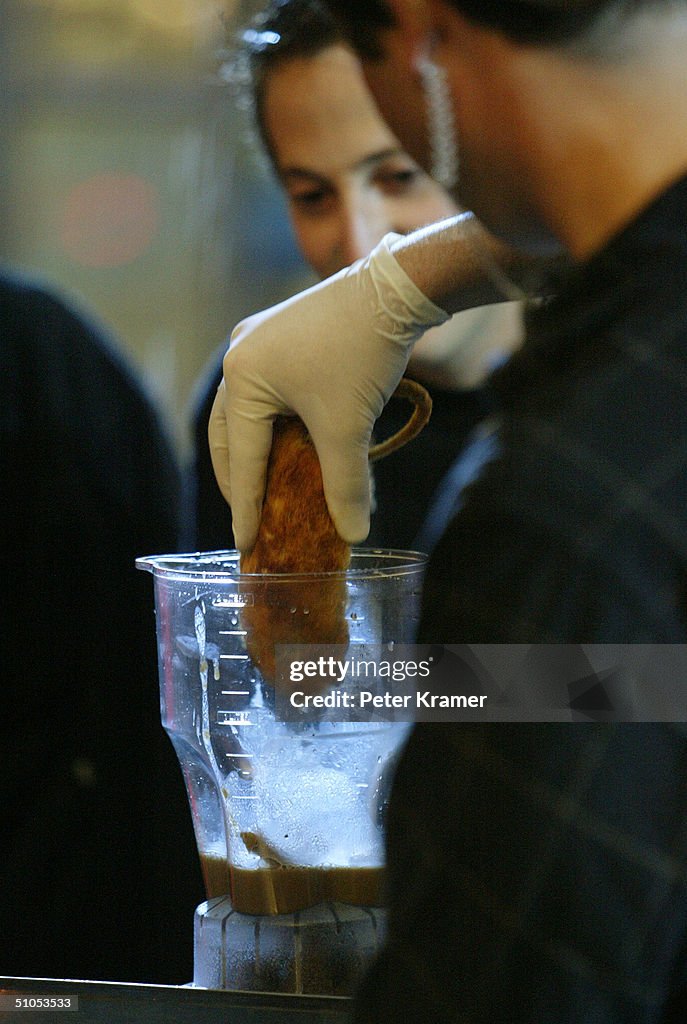 Fear Factor Rats Fear Factor Rats