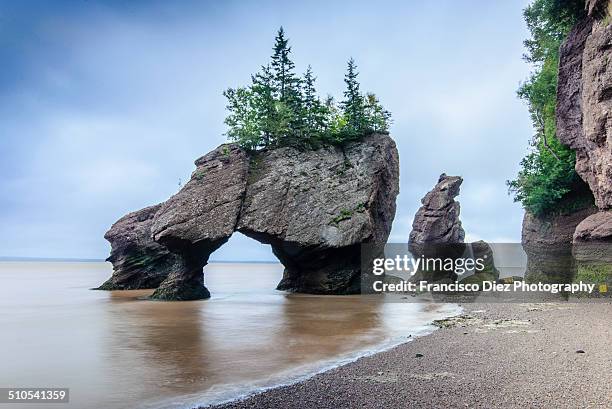 Hopewell Rocks Provincial Park Photos and Premium High Res Pictures ...