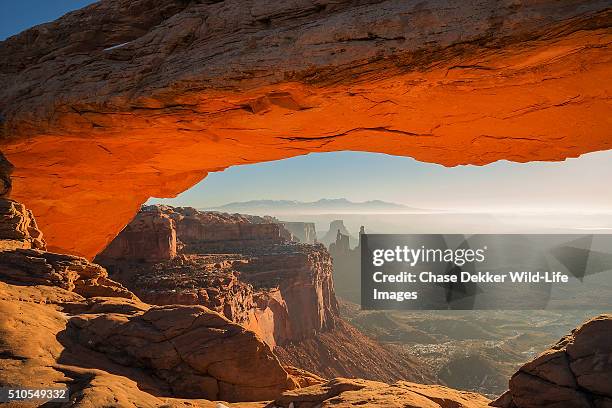 mesa arch sunrise - island in the sky stock pictures, royalty-free photos & images