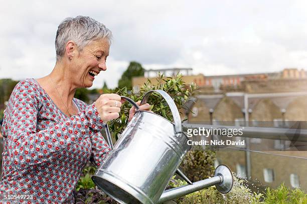 woman watering plants on roof garden - silver blouse stock pictures, royalty-free photos & images