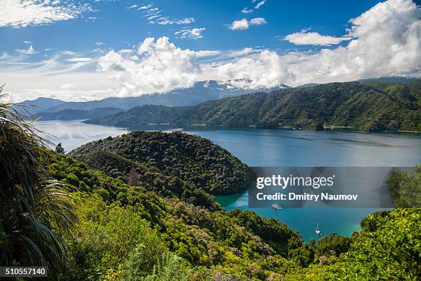 view over the grove arm of queen charlotte sound from the queen charlotte track in new zealand - 2010 stock pictures, royalty-free photos & images