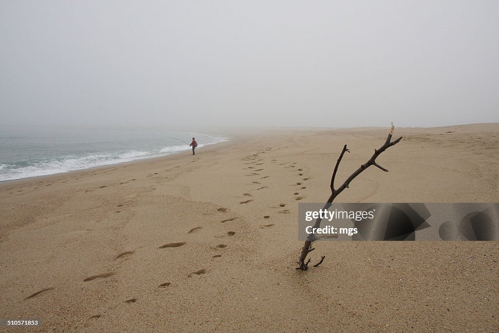 Foggy day at the beach