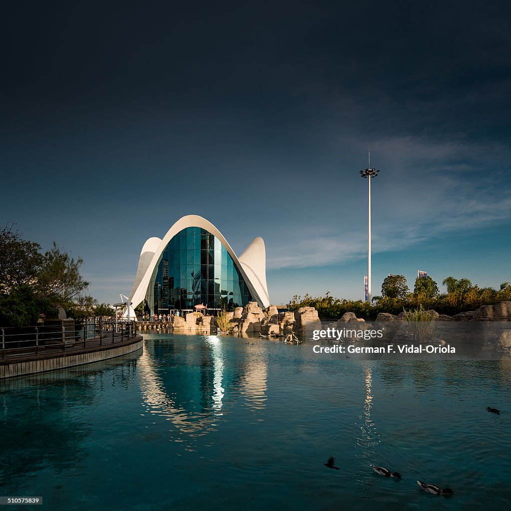 Oceanografic Aquarium in Valencia