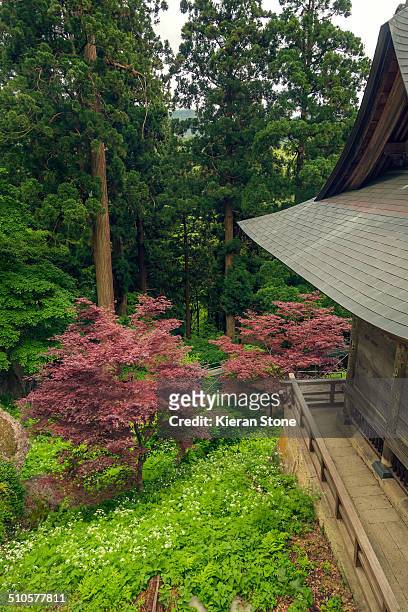 View of the woods from a temple at Yamadera, Yamagata City, Japan