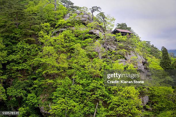 Lush green tress on a mountainside with a lone hut on top, Yamadera, Japan.