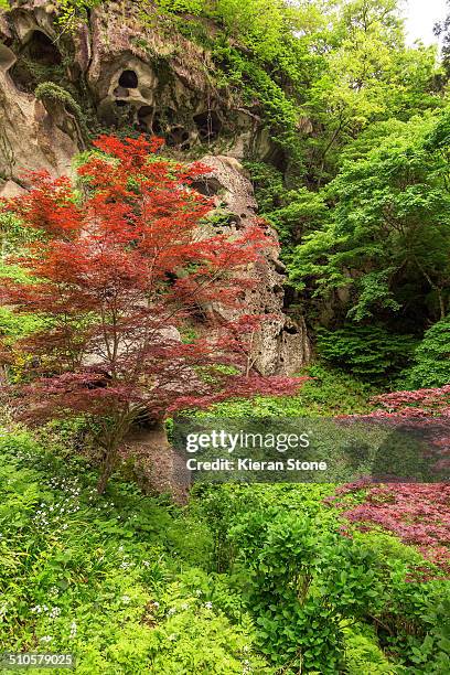 yamadera, japan - yamadera fotografías e imágenes de stock