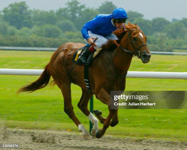 Frankie Dettori and The Godolphin trained Afrashad score an easy victory in The EBF Maiden Stakes Race run at Lingfield Park Racecourse on July 14,...