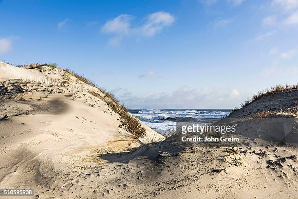 Dunes and ocean at Cape Hatteras National Seashore.