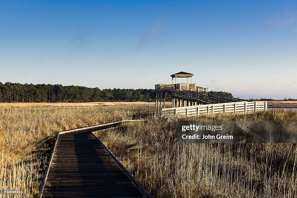 Salt marsh viewing platform atBodie Island Lighthouse, Cape...