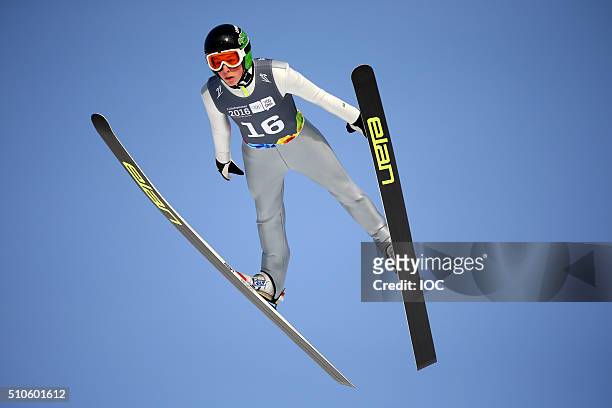 In this handout image supplied by the IOC, gold medal winner Bor Pavlovcic of Slovenia competes in the Ski Jumping Men's Individual Competition at...
