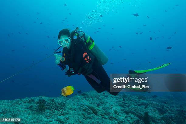 reef hook, palau - micronesia - fishing hook underwater stock pictures, royalty-free photos & images