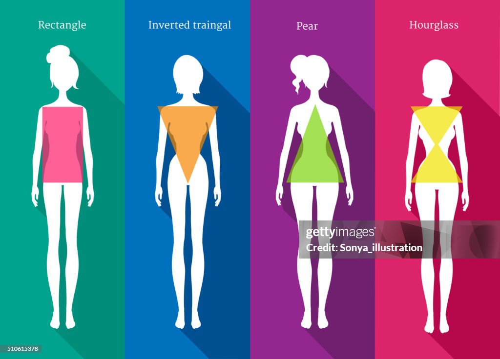 Female Body Types HighRes Vector Graphic Getty Images