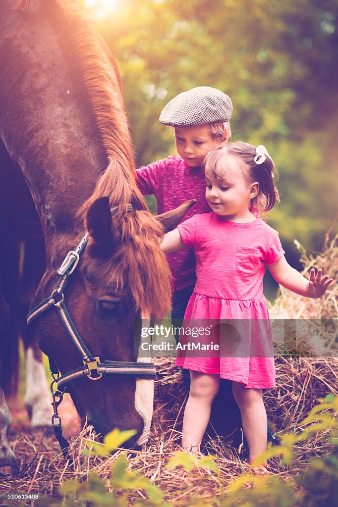 Enfants et un cheval