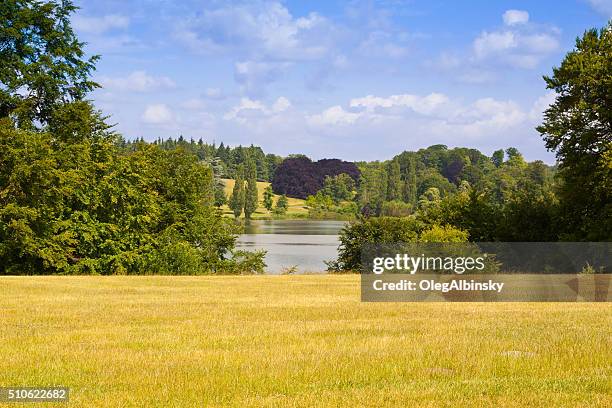 landscape with park at blenheim palace, woodstock, oxfordshire, england, uk. - blenheim palace stock pictures, royalty-free photos & images