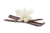 Vanilla beans with orchid