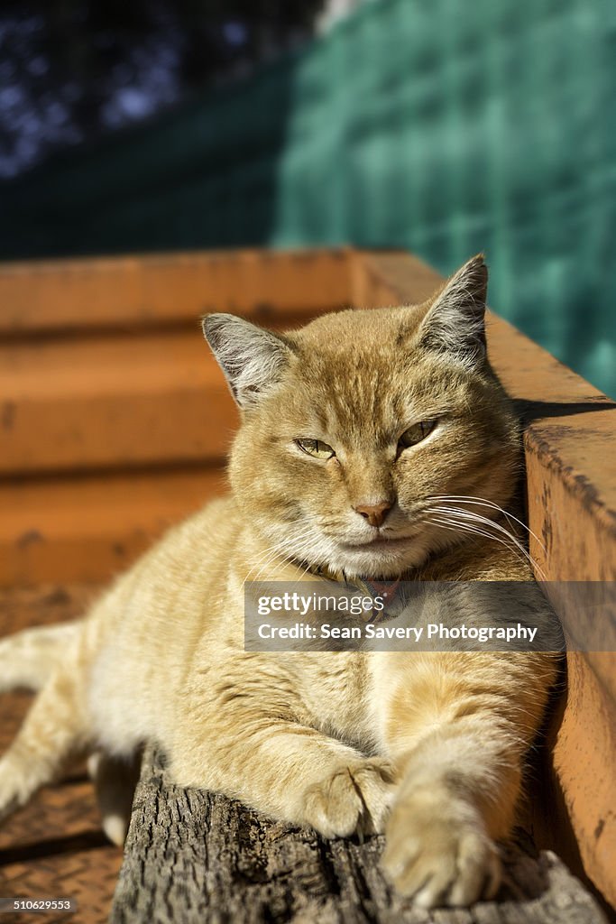 Sun-baking