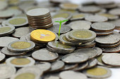 Moneyed, money, bank. token-coin on white background ( Thailand )