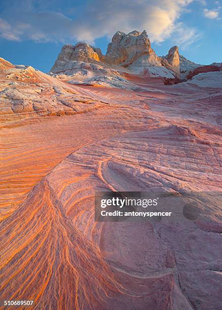 white pocket at sunset, vermillion cliffs wilderness, arizona, usa - the swirl stock pictures, royalty-free photos & images