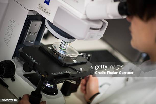 Woman works with a microscope placed in a gene laboratory at the University of Applied Sciences for Engineering and Economics on February 15, 2016 in...