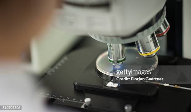 Woman works with a microscope placed in a gene laboratory at the University of Applied Sciences for Engineering and Economics on February 15, 2016 in...