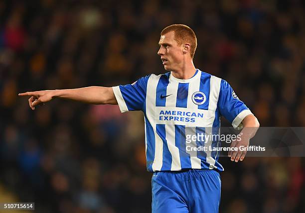 Steve Sidwell of Brighton and Hove Albion looks on during the Sky Bet Championship match between Hull City and Brighton and Hove Albion at KC Stadium...