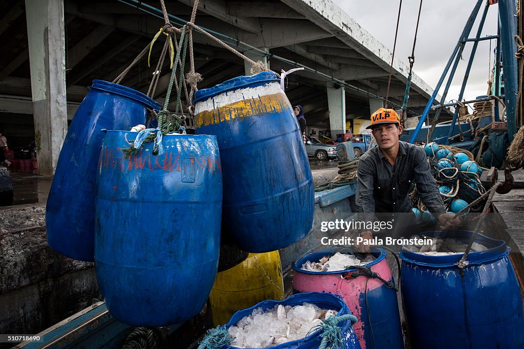 Thailand's Seafood Industry Under Scrutiny
