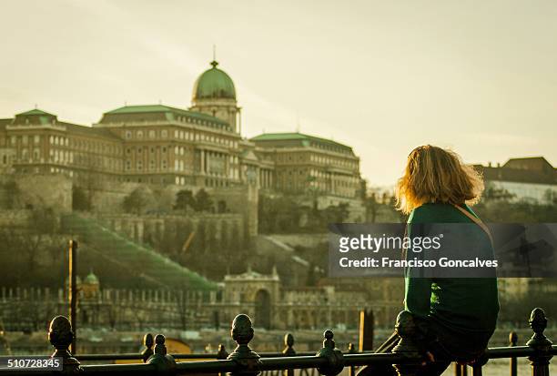 girl looking at the budapest royal palace - royal palace bildbanksfoton och bilder