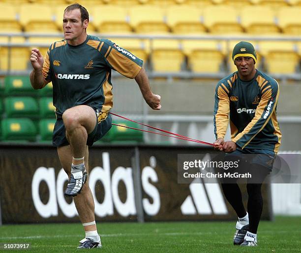 Nathan Grey Rugby 1,175 Nathan Grey Photos & High Res Pictures - Getty Images