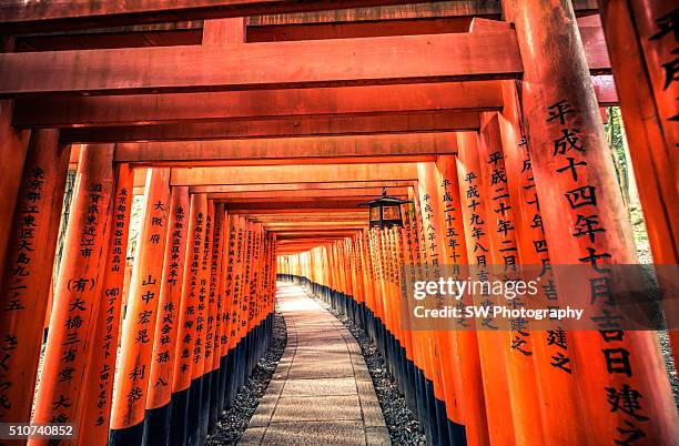 torii road in fushimi inari temple - fushimi inari schrein stock-fotos und bilder