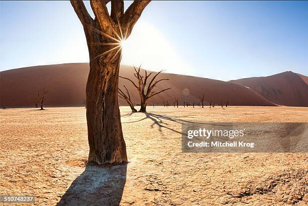 deadvlei sunrise - namibia - dead vlei stockfoto's en -beelden