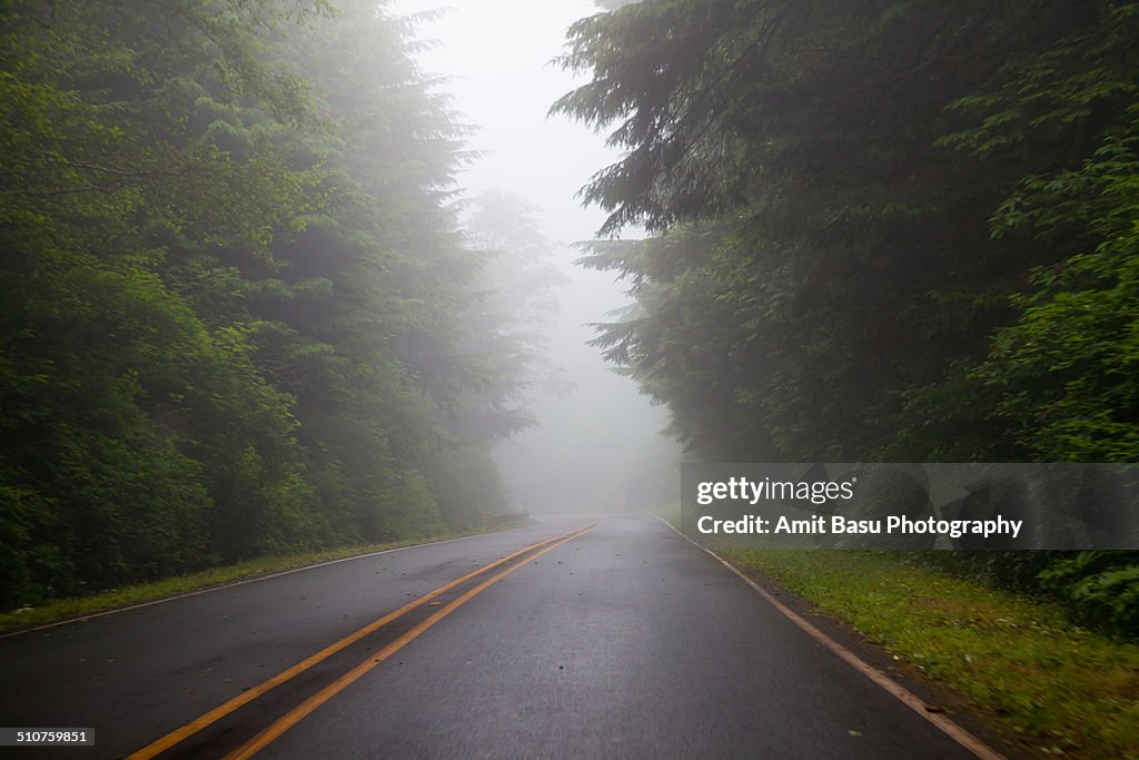 Fog on road near Neah Bay