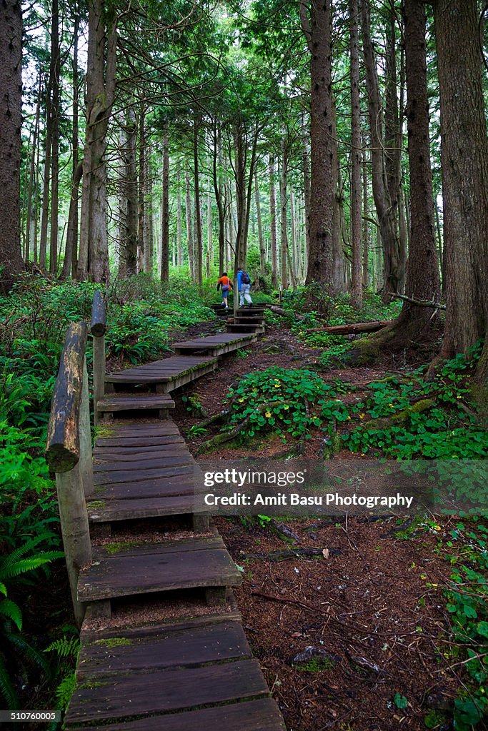 Boardwalk at Cape Flattery