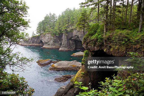 sea caves at cape flattery - cape flattery 個照片及圖片檔