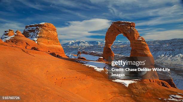 walking under delicate arch - delicate arch stock-fotos und bilder