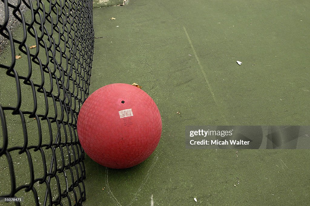 Dodgeball Gains New Popularity With Adult Players