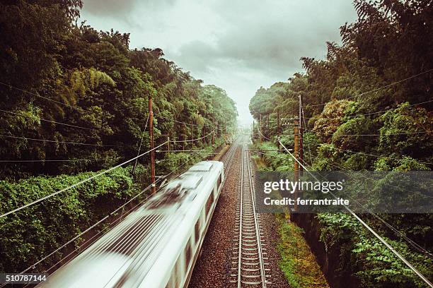 train crossing kyoto bamboo forest - bullet trains stockfoto's en -beelden