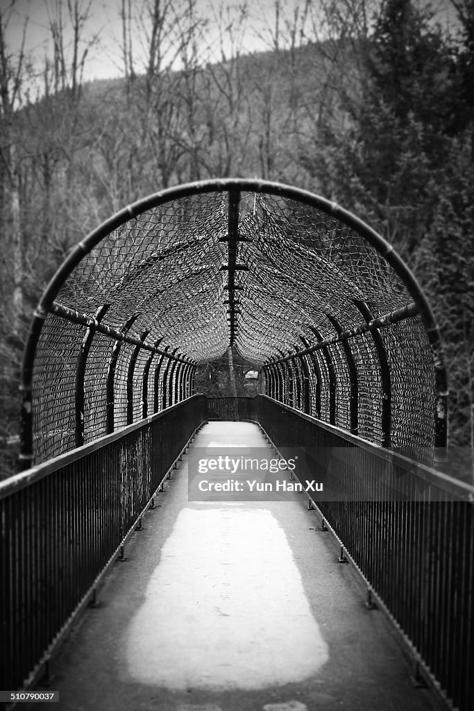 Pedestrian Bridge in the Park